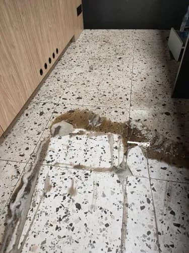 Sprzątanie biur i powierzchni komercyjnych - dyskrecja i jakość