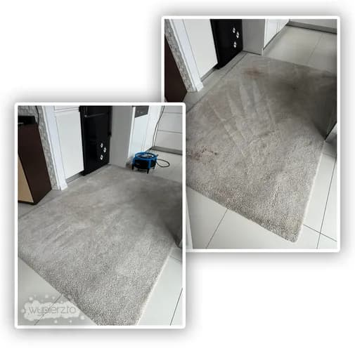 Kompleksowe czyszczenie chemiczne dywanów - głębokie odświeżanie