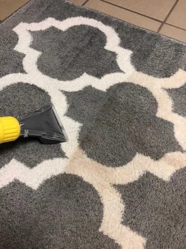 Renowacja dywanów - profesjonalne czyszczenie bez chemii