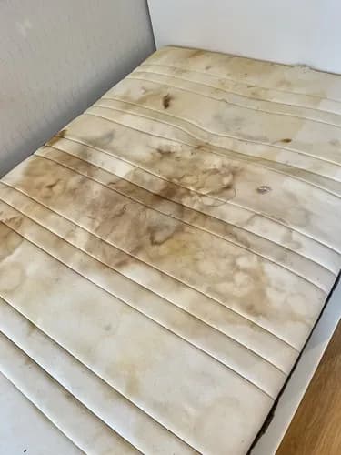 Стирка обивки мебели, диванов