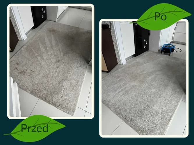 Szybkie terminy - Pranie Tapicerki Meblowej i Samochodowej - Gdańsk