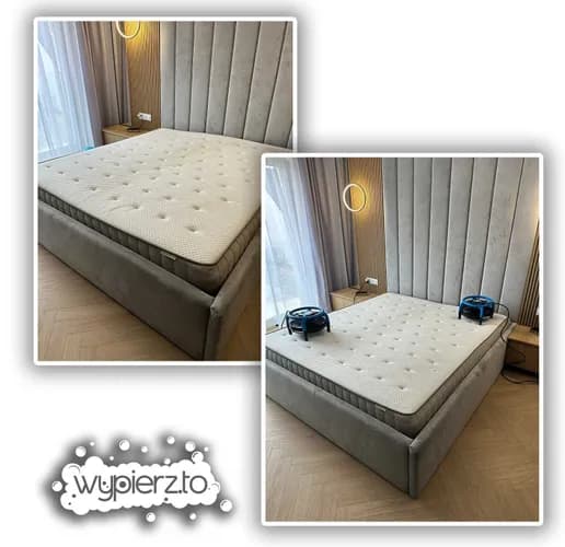 Profesjonalne Pranie Tapicerki | Kanapy | Materaca | Fotela - Gdańsk