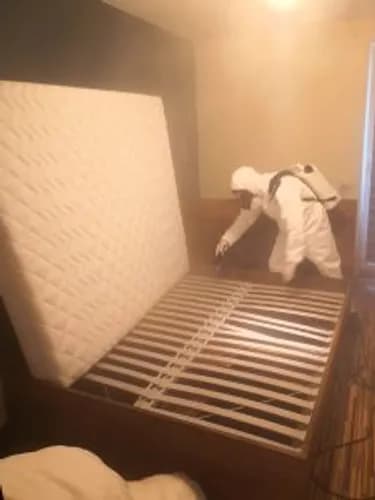 Skuteczna dezynsekcja wszystkich rodzajów pomieszczeń