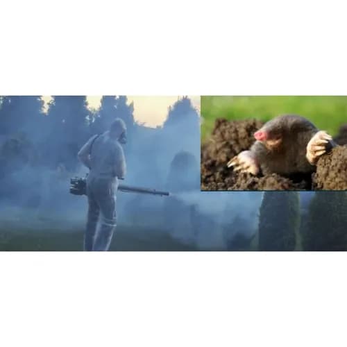 Skuteczna dezynsekcja wszystkich rodzajów pomieszczeń