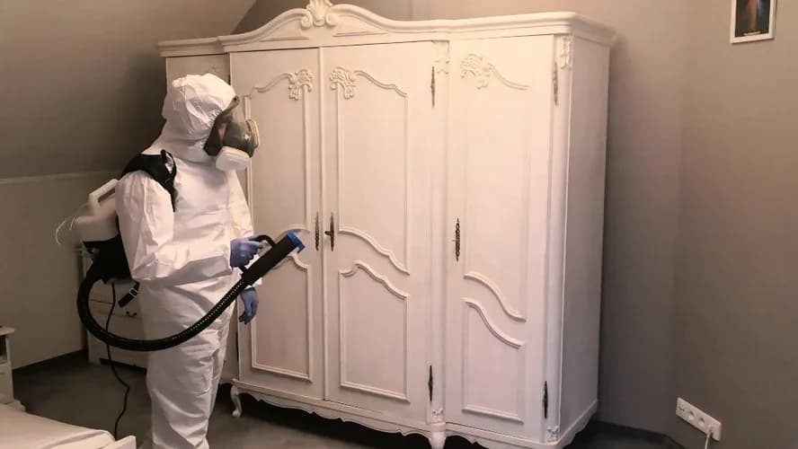 Skuteczna dezynsekcja wszystkich rodzajów pomieszczeń