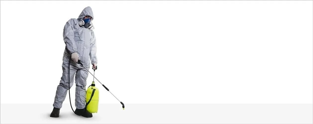 Kompleksowa walka ze szkodliwymi owadami