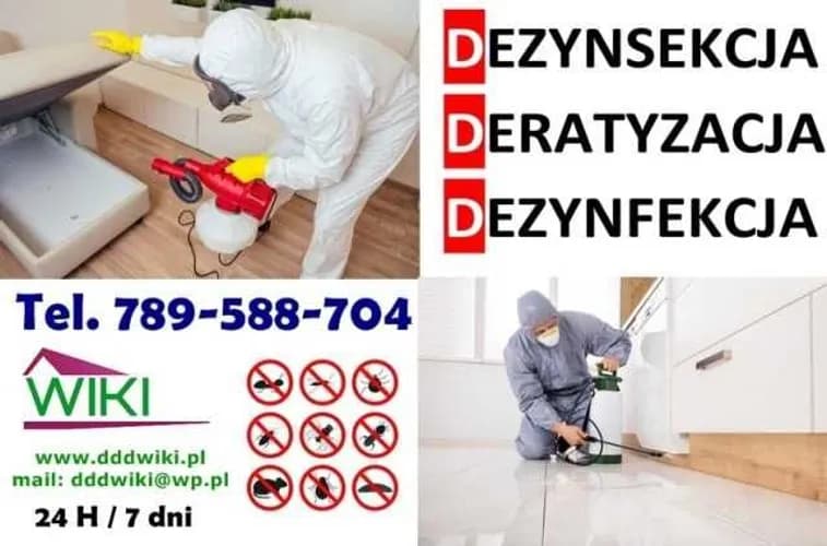 Bezpieczna dezynsekcja dla domu i biura