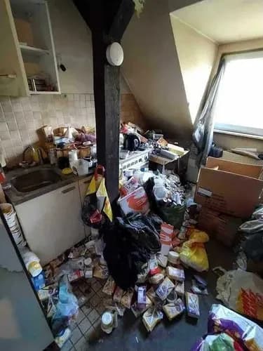 Skuteczna dezynsekcja – pozbądź się insektów raz na zawsze!