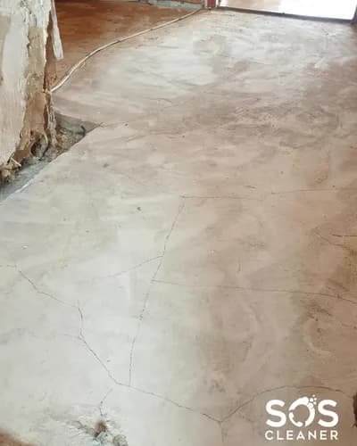 Skuteczna dezynsekcja – pozbądź się insektów raz na zawsze!