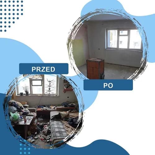 Skuteczna dezynsekcja – pozbądź się insektów raz na zawsze!