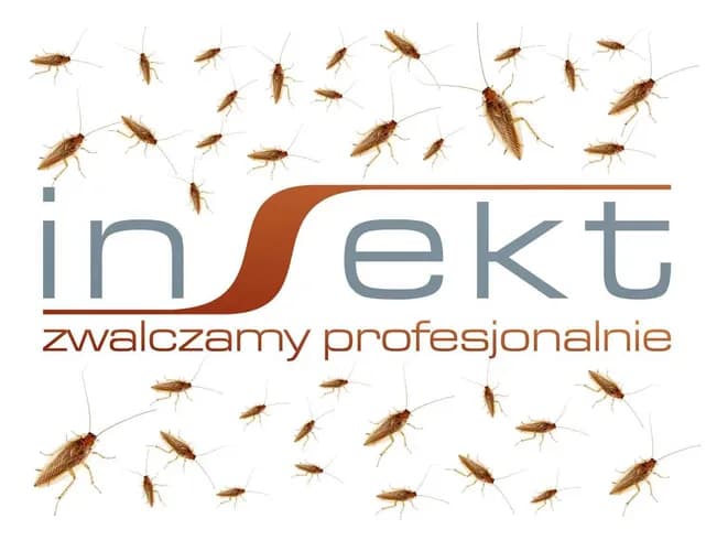 Dezynsekcja, zwalczanie prusaków, karaluchów, odprusaczanie