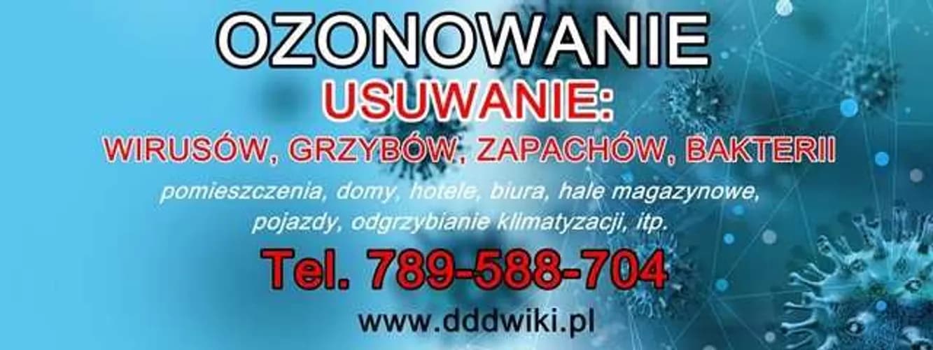 Nowoczesne metody deratyzacji dla twojego spokoju