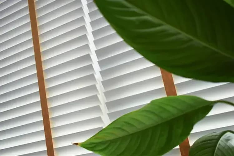 Montaż rolet i żaluzji – precyzja i estetyka