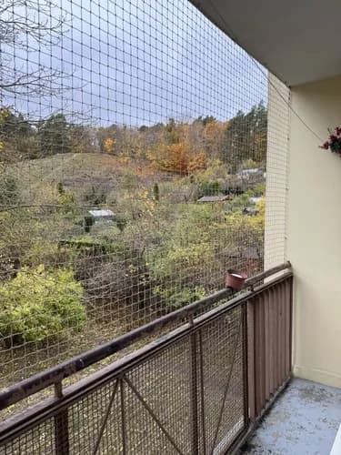 Profesjonalna dezynsekcja – pozbądź się robaków szybko i bezpiecznie