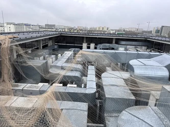 Profesjonalna dezynsekcja – pozbądź się robaków szybko i bezpiecznie