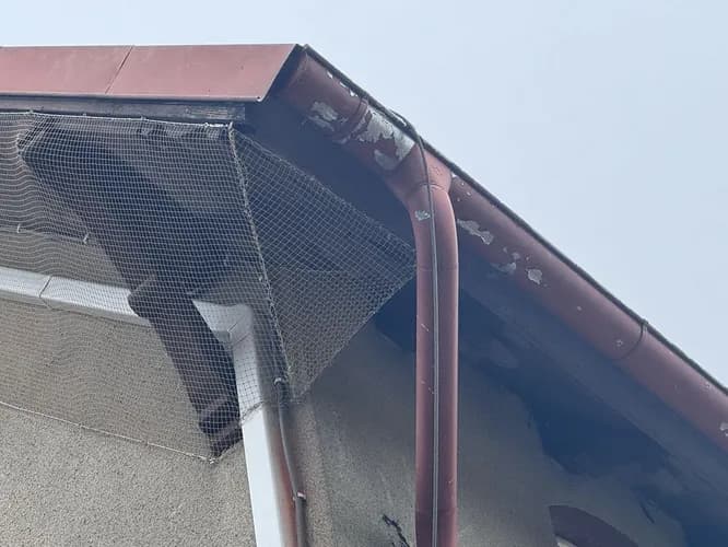 Profesjonalna dezynsekcja – pozbądź się robaków szybko i bezpiecznie