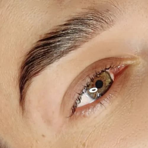 Формула брів