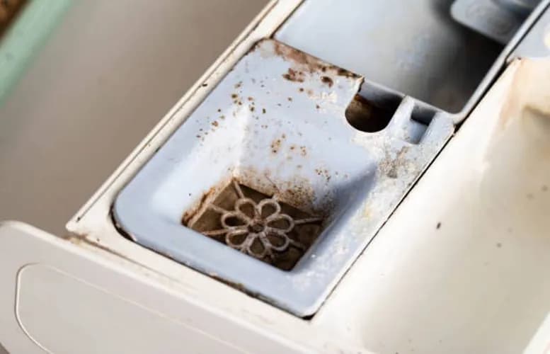 Czyszczenie bębna i filtrów pralki