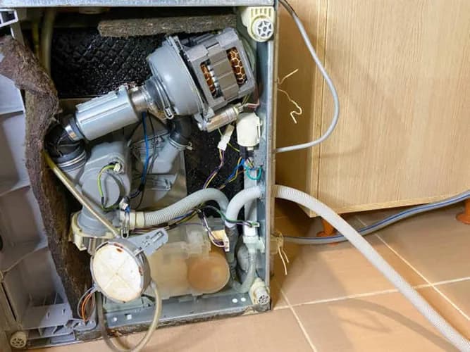 Problemy z grzaniem w zmywarce? Zadzwoń