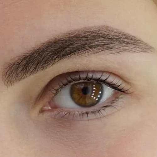 Підбір кольору для брів