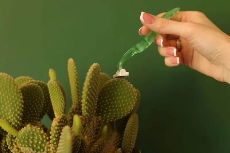 Сахарная эпиляция голени - достойный результат