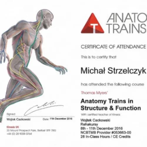 Спортивный нейромышечный массаж: максимальная эффективность