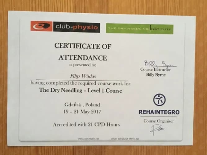 Лечебный массаж: профилактика заболеваний позвоночника