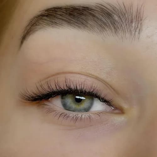 Роскошные 2D ресницы