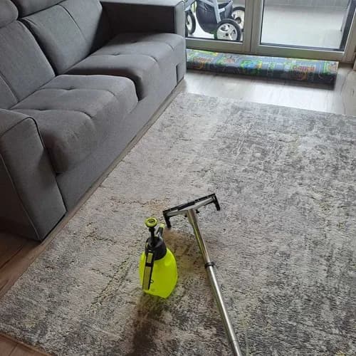 Profesjonalne pranie i czyszczenie dywanów
