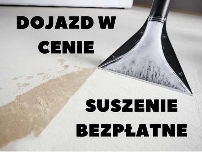 Czyszczenie dywanów. Pranie wykładzin.