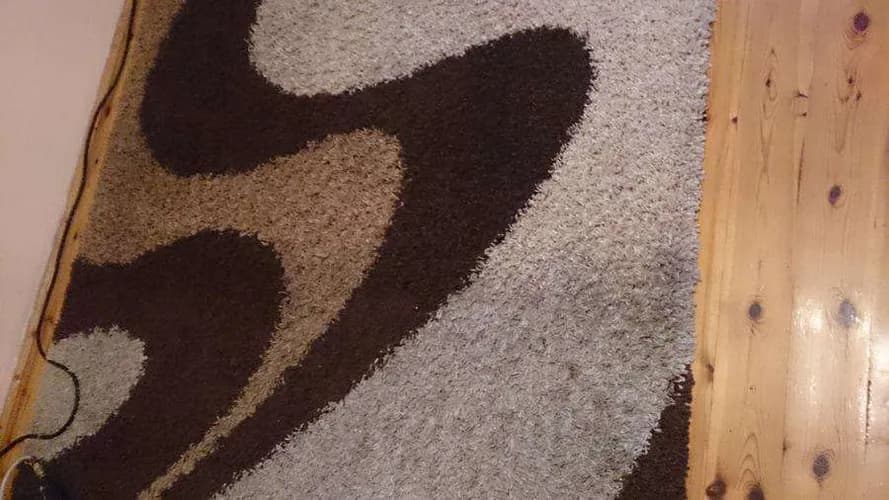 Profesjonalne pranie i czyszczenie dywanów, wykładzin, dywaników