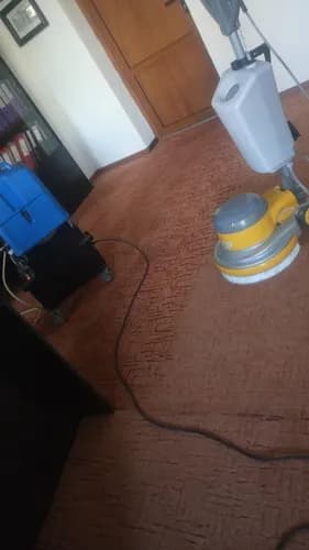 Profesjonalne pranie i czyszczenie dywanów, wykładzin, dywaników