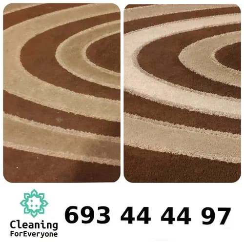 Pranie czyszczenie wykładziny - Karcher