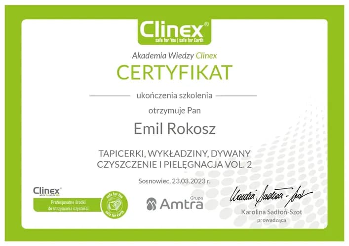 Specjalistyczne pranie dywanów: Usuwamy plamy i odświeżamy kolory