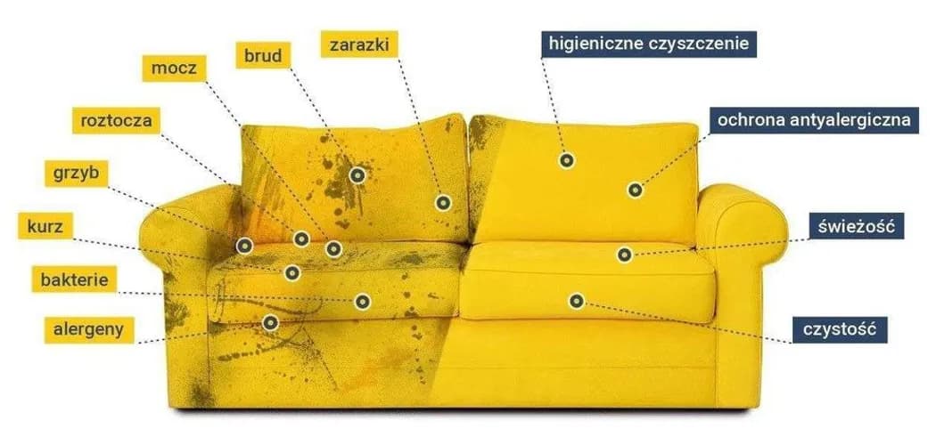 Profesjonalne czyszczenie mebli tapicerowanych